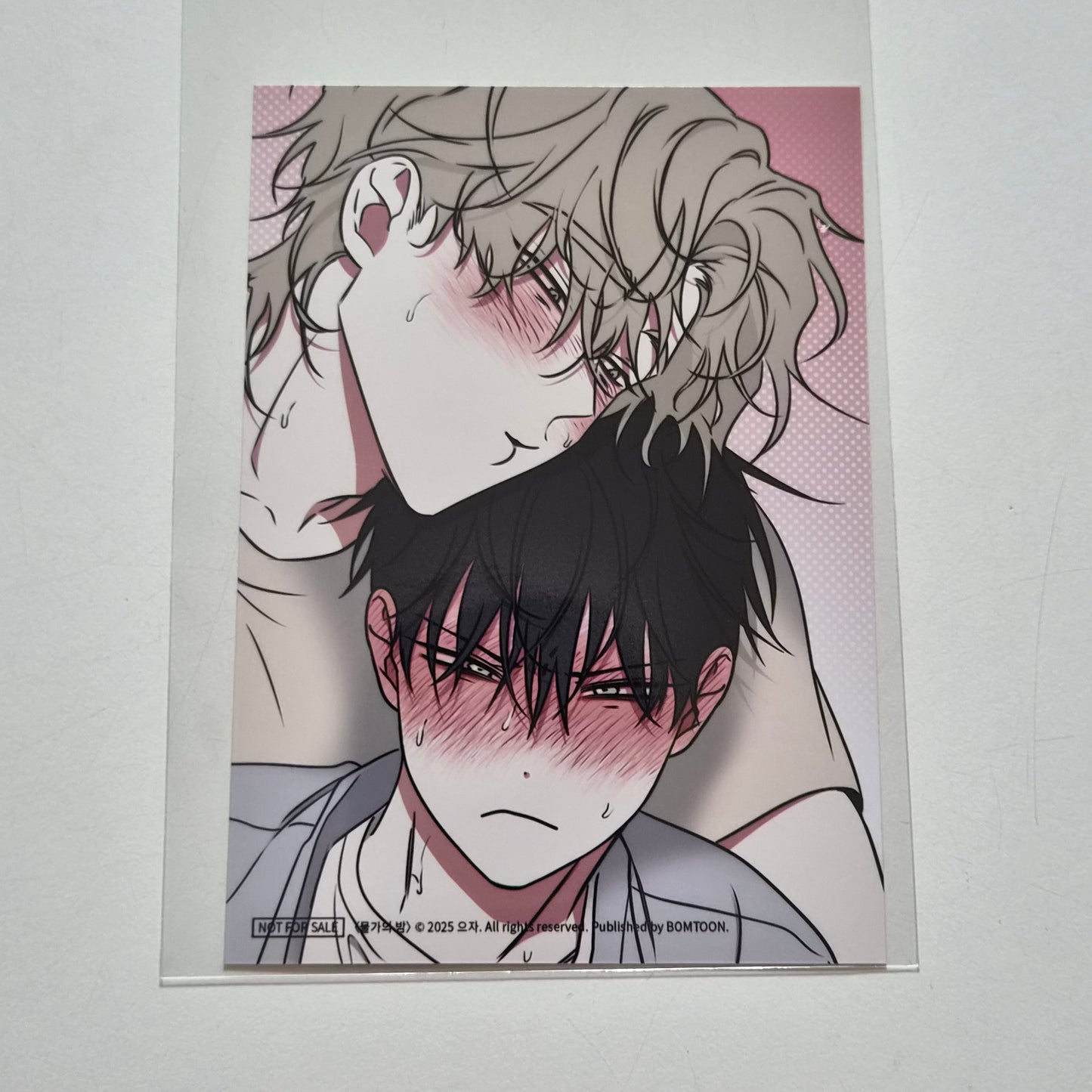 [NEMO MARKET][Bomtoon 10th anni. Home Party] Low Tide in Twilight : Printed Photo
