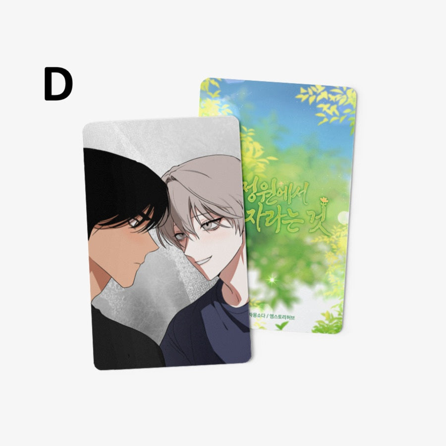 [pre-order] Growing in That Garden : Photo Card