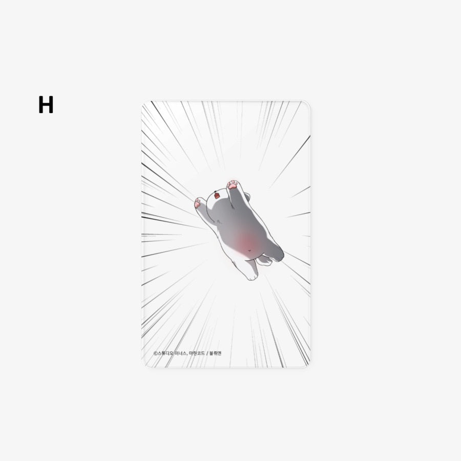 [pre-order] Paws & Claws : Transpatent Photocard