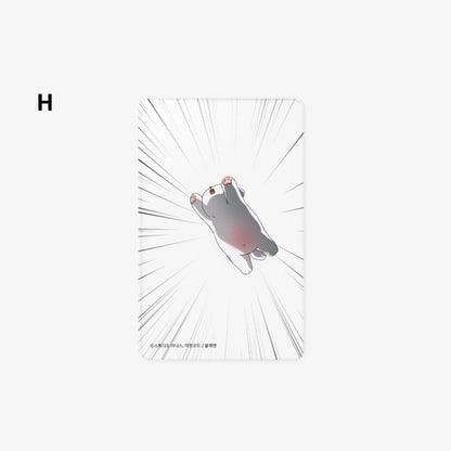 [pre-order] Paws & Claws : Transpatent Photocard