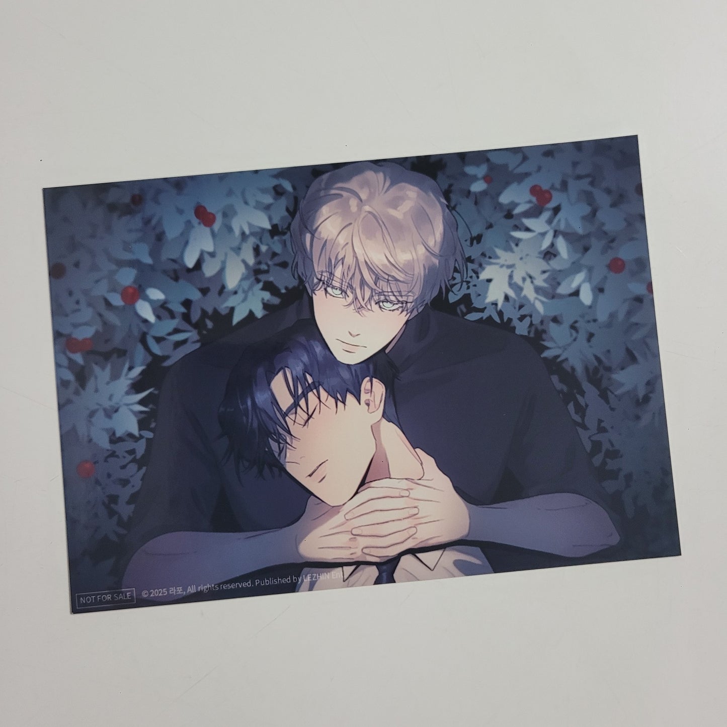 [NEMO MARKET] A Tree Without Roots : printed photo no.2