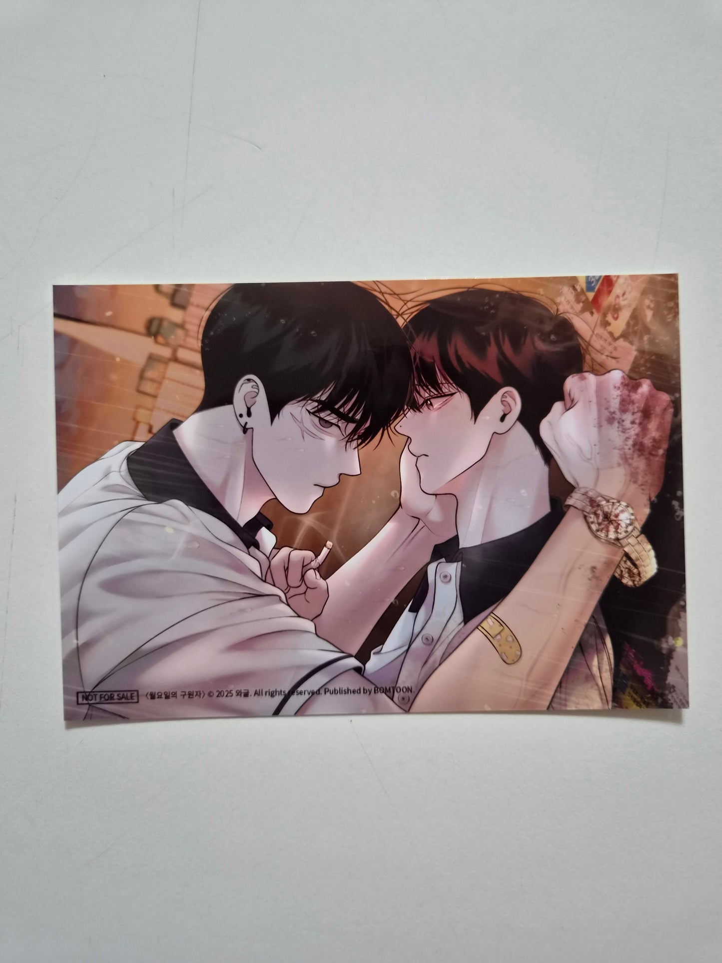 [NEMO MARKET] Save the Dae : Bomtoon 10th anni. Home Party Printed Photo