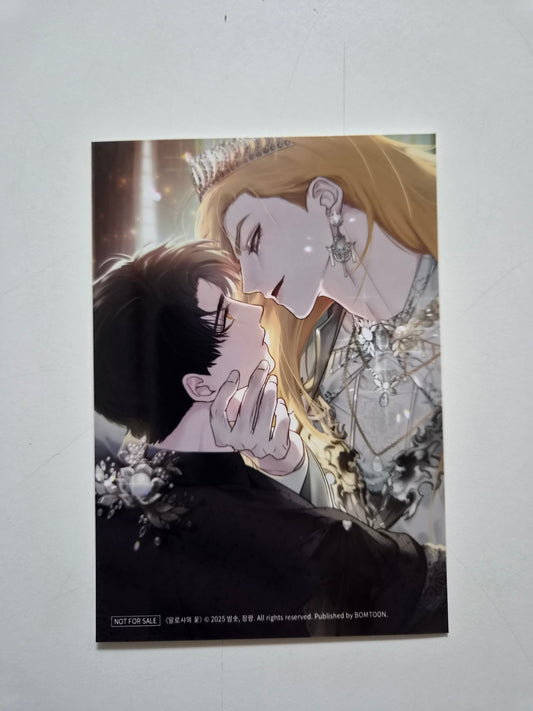 [NEMO MARKET] The Search For Alosha : Bomtoon 10th anni. Home Party Printed Photo