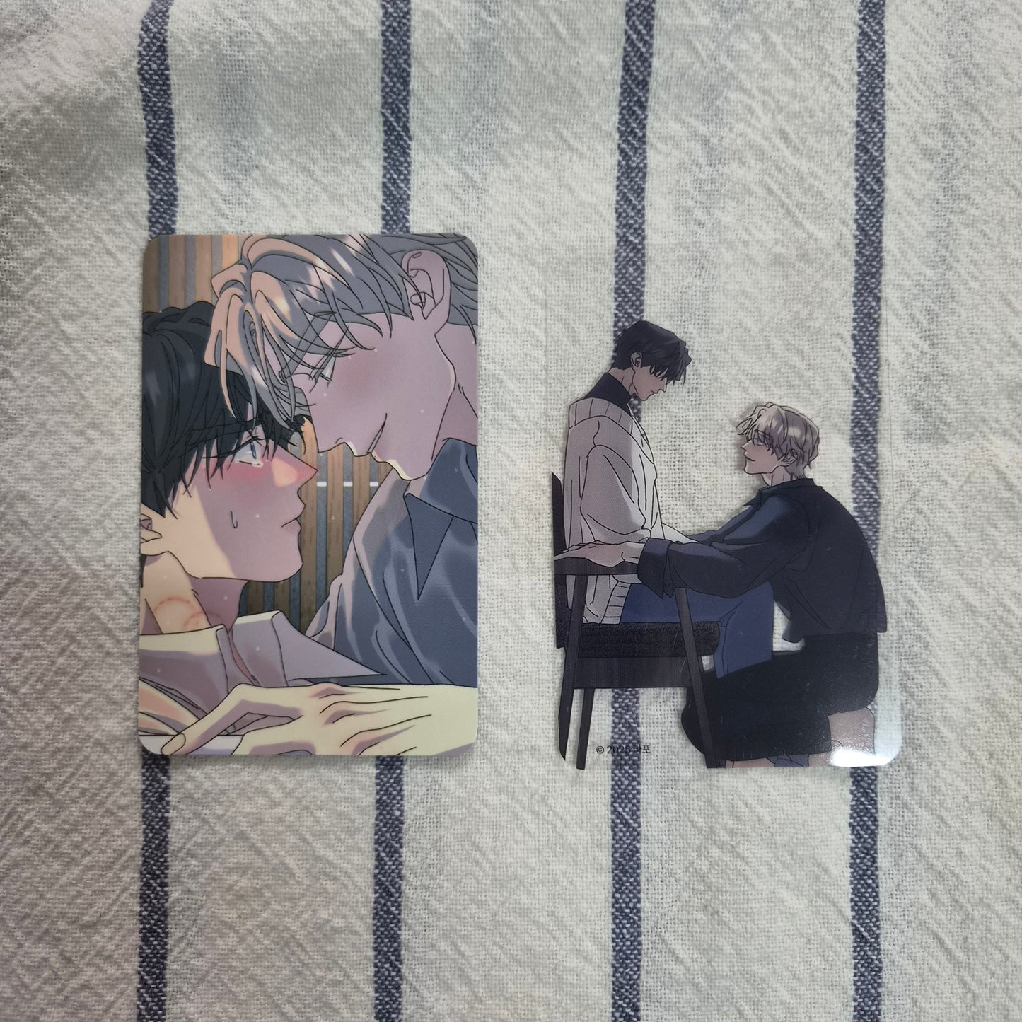 [NEMO MARKET][POP-UP] A Tree Without Roots : Special Photocards - 2