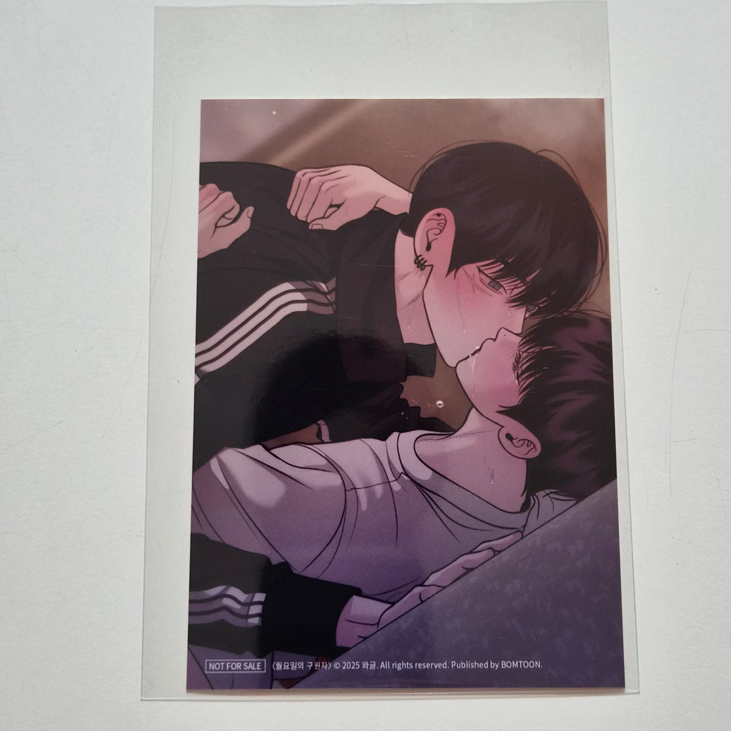 [NEMO MARKET][Bomtoon 10th anni. Home Party] Save the Dae : Printed Photo