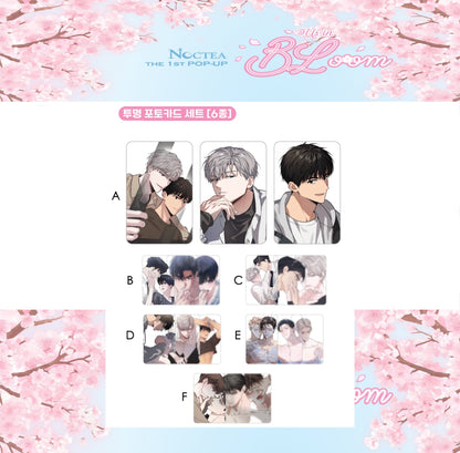 [𝖭𝖮𝖢𝖳𝖤𝖠 𝖯𝖮𝖯-𝖴𝖯] Us in BLoom : Transparent Photo Card Set