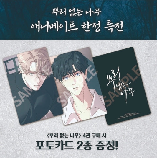 [Animate ver.][1st editon] A Tree Without Roots : comic book vol.4