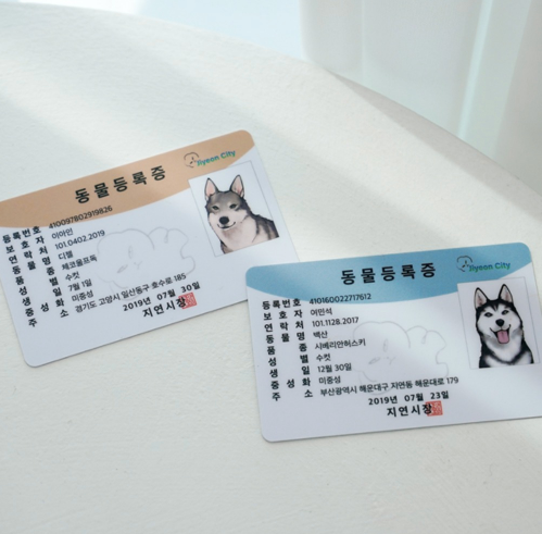 Author Jiyeon : [Wolf in the House] Animal ID Cards
