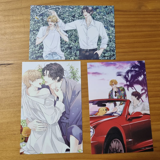 [4th NEMO MARKET] Unintentional Love Story Postcard 3pcs set
