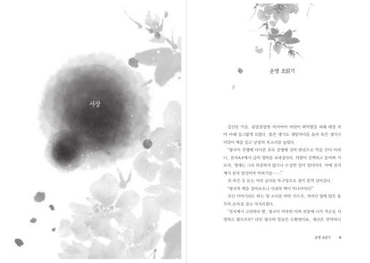The Red Sleeve Novel, Korea MBC Drama Original Novel Book