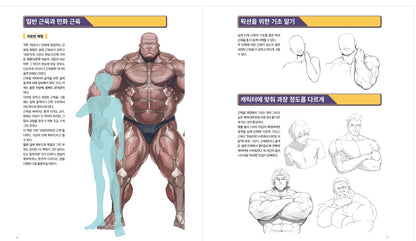 Strong muscle illustration technique Book