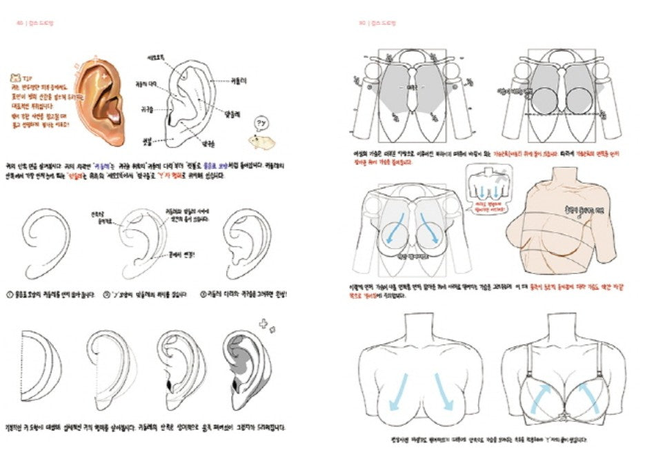 Girls Drawing - Korea Drawing Guide