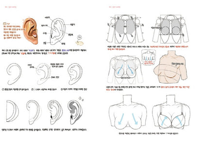 Girls Drawing - Korea Drawing Guide