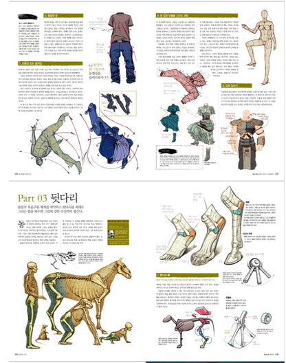 Digital Illustration Drawing Anatomy