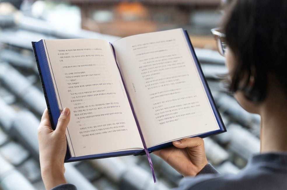 Omniscient Reader’s Viewpoint ARTBOOK EDITION 13 nemo it store